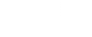 bni300